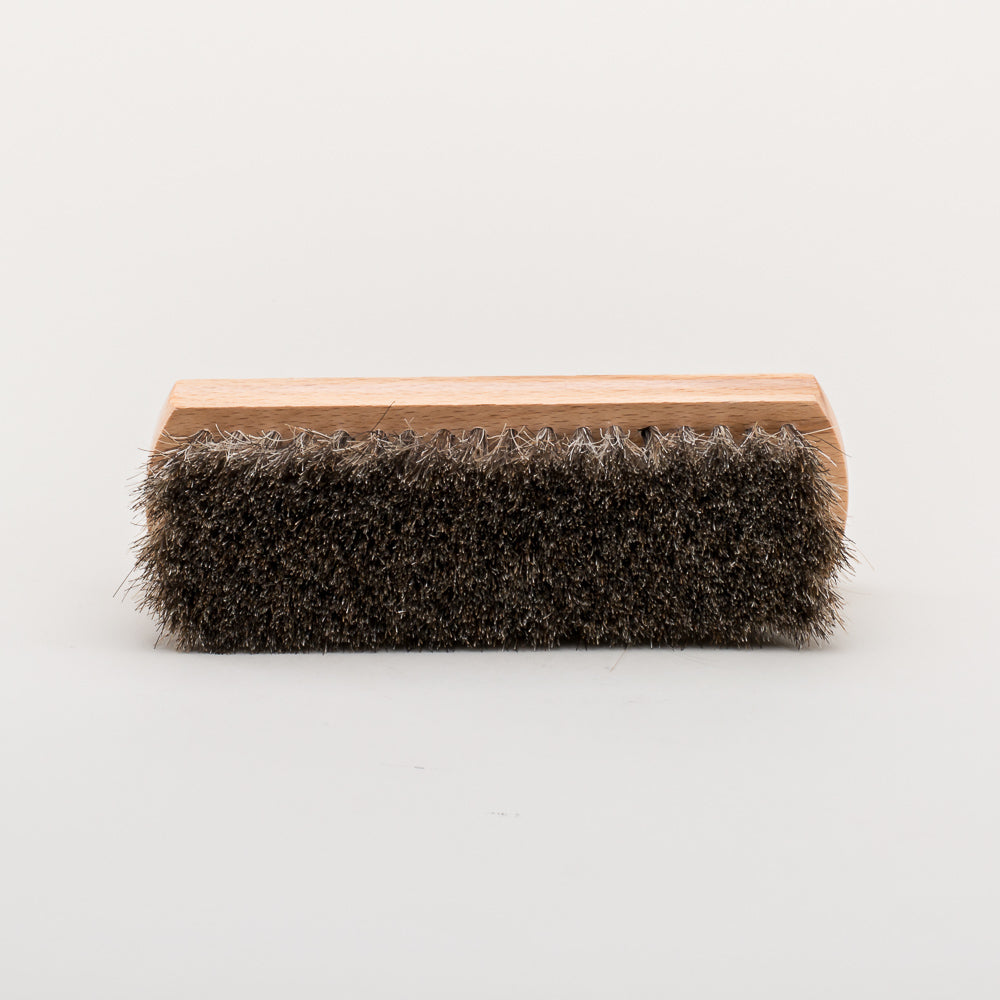 Shoe Brush and Polishing Cloth